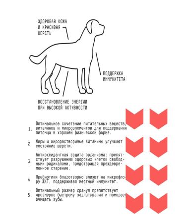 AJO Dry food for medium dogs with beef 2kg - Buy Online on GoSupps.com