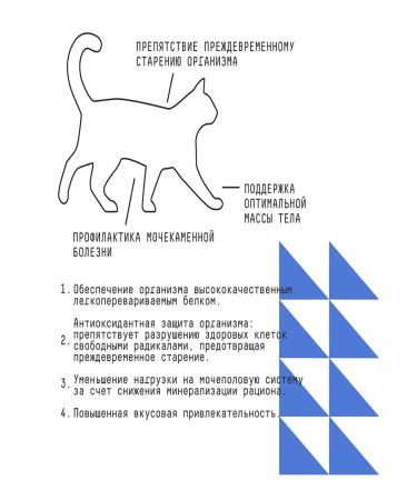 AJO Feed for the prevention of ICD for elderly cats with chicken 10kg - Buy Online on GoSupps.com