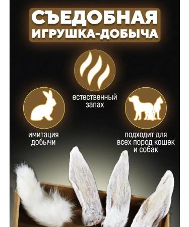 Kisuel Natural rabbit ears - Buy Online on GoSupps.com