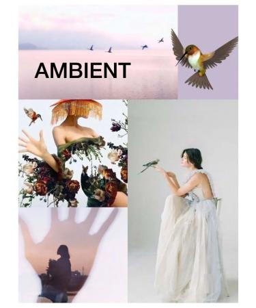 TEFIA Paint 10.13 Extra light blond ash-golden 60ml - Buy Online on GoSupps.com