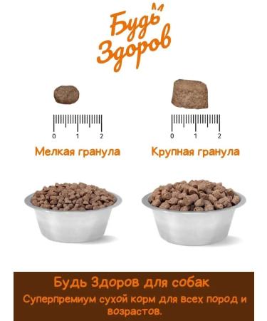 Be healthy for dogs with turkey small granules 10kg - Buy Online on GoSupps.com