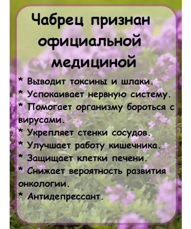 EMPIRE OF TEA Tea with thyme leaf black - Buy Online on GoSupps.com