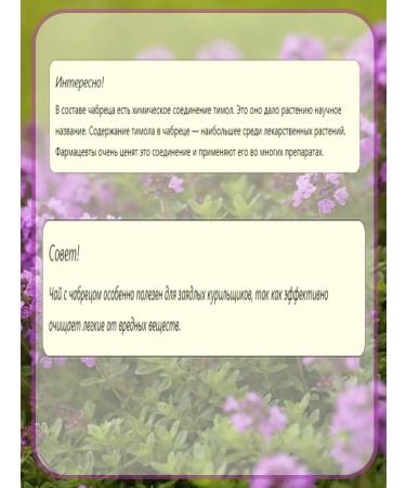 EMPIRE OF TEA Tea with thyme leaf black - Buy Online on GoSupps.com