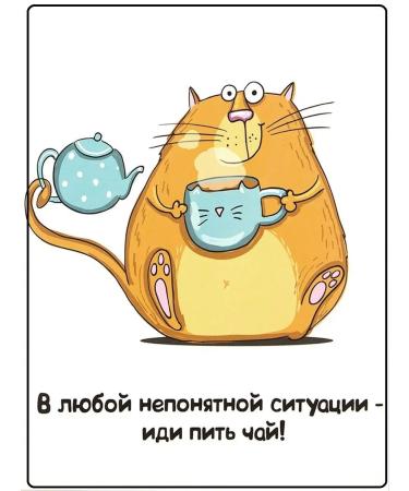 EMPIRE OF TEA Tea with thyme leaf black - Buy Online on GoSupps.com