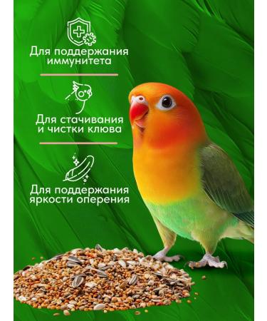 Mikimeals Feed for medium premium parrots 800 grams - Buy Online on GoSupps.com