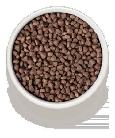 Grandorf Dry food turkey for sterilized cats 2kg - Buy Online on GoSupps.com