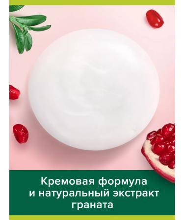 PALMOLIVE Container shampoo shine and grenade care 450 ml 2pcs - Buy Online on GoSupps.com