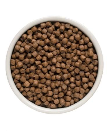 Grandorf Dog food dry for small breeds of lambs of a turkey 3 kg - Buy Online on GoSupps.com