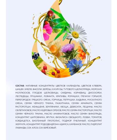 Sashel Tonal Cream for Faces Sachel - Buy Online on GoSupps.com