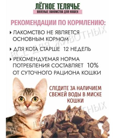 Titbit Cat a treat -light calf 20 g - Buy Online on GoSupps.com