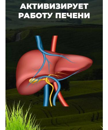 Honey and Jam Sollyanka Hill grass 50 gr. 3pcs - Buy Online on GoSupps.com