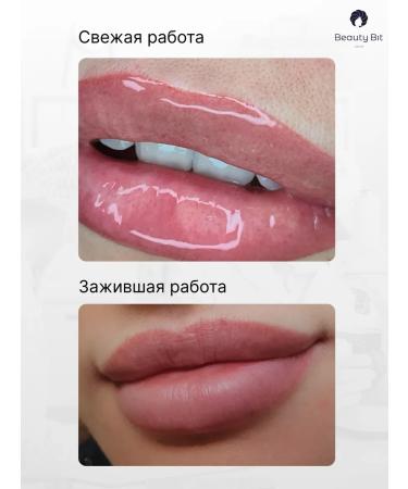 Beauty Bit Pigmor's paste-pink lip pigment - Buy Online on GoSupps.com