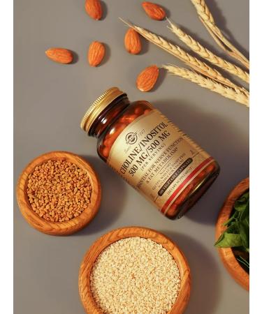 SOLGAR Capsules choline inositol 500 mg 500 mg 100 pcs - Buy Online on GoSupps.com