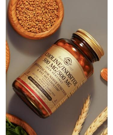 SOLGAR Capsules choline inositol 500 mg 500 mg 100 pcs - Buy Online on GoSupps.com