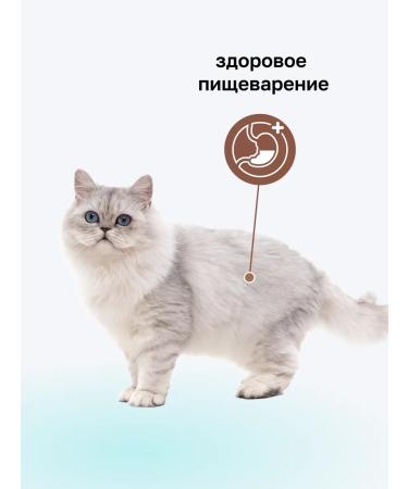 Organix Gastrointestinal for cats Prevention of gastrointestinal problems 2 kg - Buy Online on GoSupps.com