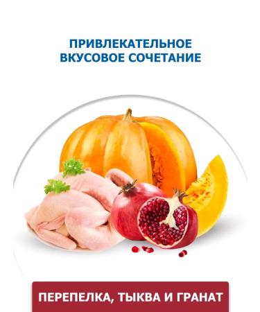 Farmina Dry food for sterilized cats and cats quail 1.5 kg - Buy Online on GoSupps.com