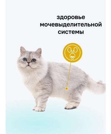 Organix Urinary dry food for cats prevention of ICD 2 kg - Buy Online on GoSupps.com