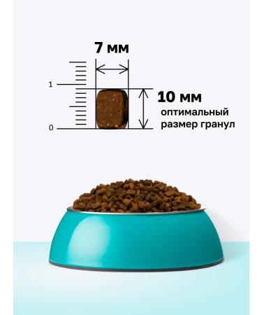 Organix Urinary dry food for cats prevention of ICD 2 kg - Buy Online on GoSupps.com