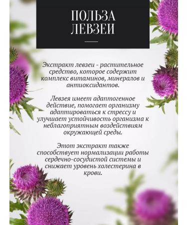 The Good Beekeeper Levzeya honey (maral of root) liquid 250 g PP product - Buy Online on GoSupps.com