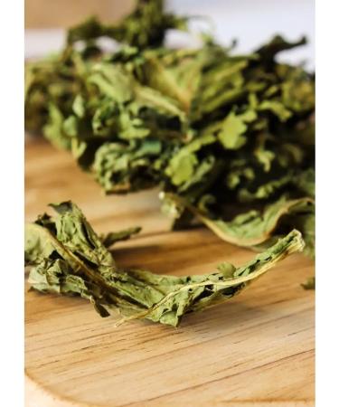 Herbal Tea Black nut sheet collection 2025 g 50 grams - Buy Online on GoSupps.com