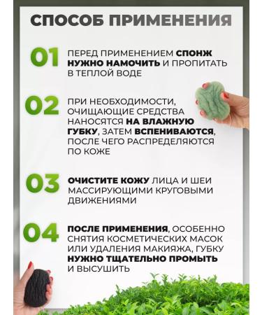 CLAREMONE Sponge cow for washing - Buy Online on GoSupps.com