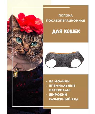 Vita Vet Popon Postoperative for Lightning Cats