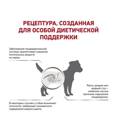 ROYAL CANIN GastroinTestinal Low Fat Small Dog for Dry Dry 3 kg - Buy Online on GoSupps.com