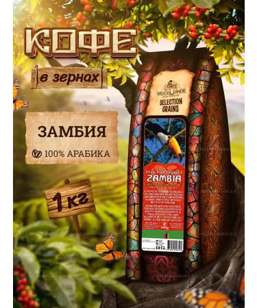 Broceliande Coffee in Zambia Grain 100% Arabica 1 kg