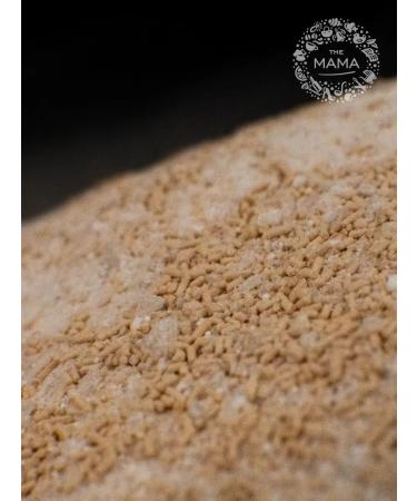 THE MAMA Explosion active dry butleger 2 pcs. 520 g - Buy Online on GoSupps.com