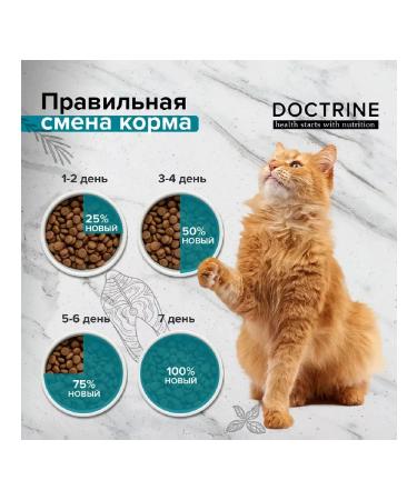 DOCTRINE Cat food dry for sterilized turkey fish 10 kg - Buy Online on GoSupps.com