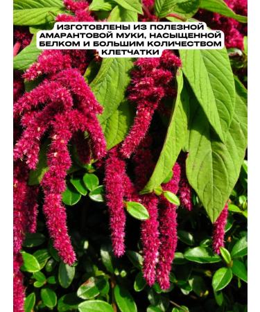 Rhymes of Health Amaranth Batons without sugar forest berries 20 pcs - Buy Online on GoSupps.com