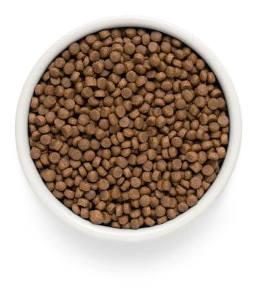 PREMIER Dry food for adult cats with fresh turkey 2kg - Buy Online on GoSupps.com