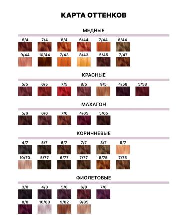 CEHKO Hair dye Professional 6 75 walnut - Buy Online on GoSupps.com