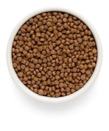 PREMIER Dry fresh Fresh meat turkey meat for puppies of all rocks 10 kg - Buy Online on GoSupps.com