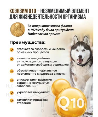 UNITABS Brewerscomplex small dog vitamins - Buy Online on GoSupps.com