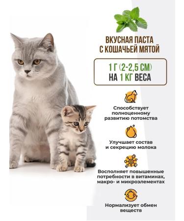 Unitabs Vitamins for cats and kittens Paste Mama+Kitty 120 ml - Buy Online on GoSupps.com
