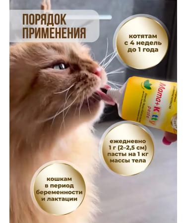 Unitabs Vitamins for cats and kittens Paste Mama+Kitty 120 ml - Buy Online on GoSupps.com