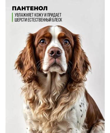 Spets Shampoo for dogs and puppies hypoallergenic with panthenol 1l - Buy Online on GoSupps.com