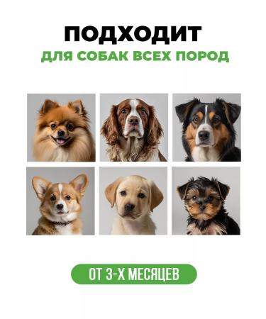 Spets Shampoo for dogs and puppies hypoallergenic with panthenol 1l - Buy Online on GoSupps.com