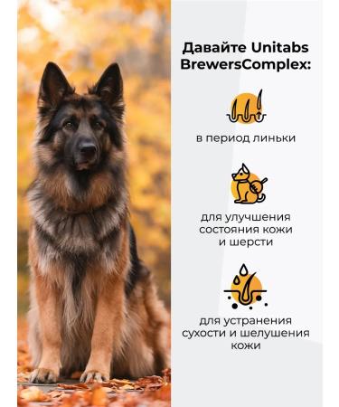 UNITABS Vitamins for large dogs Brewerscomplex - Buy Online on GoSupps.com