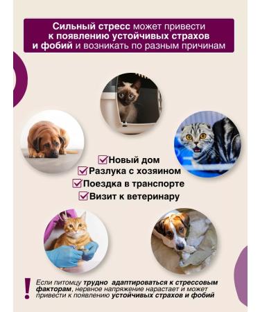 Relaxivet Seductive for dogs and cats suspension 25 ml - Buy Online on GoSupps.com