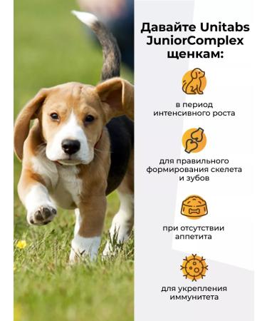 UNITABS JuniorComplex - Buy Online on GoSupps.com