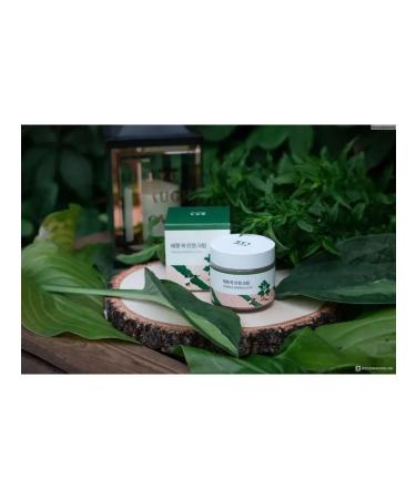 round lab Single Cream with Mugwort Calming Cream 80ml wormwood - Buy Online on GoSupps.com