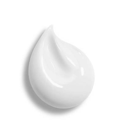 Nevskaya Cosmetics Face cream anti -aging with ginseng 40 ml - Buy Online on GoSupps.com