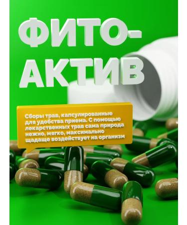 Health formula Phytoactive for gastritis ulcer and 12 - Buy Online on GoSupps.com