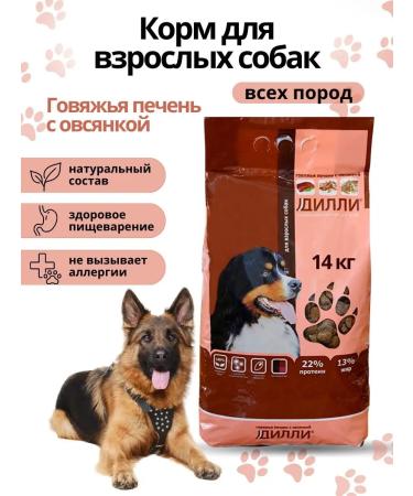 DILLY Dry food for dogs of all beef breeds