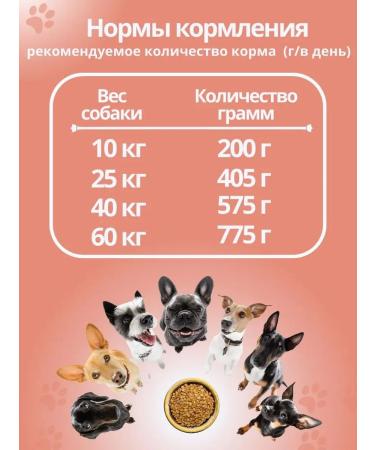 DILLY Dry food for dogs of all beef breeds - Buy Online on GoSupps.com