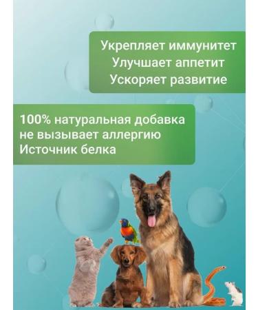 ZKM Fish oil for cats and dogs - Buy Online on GoSupps.com