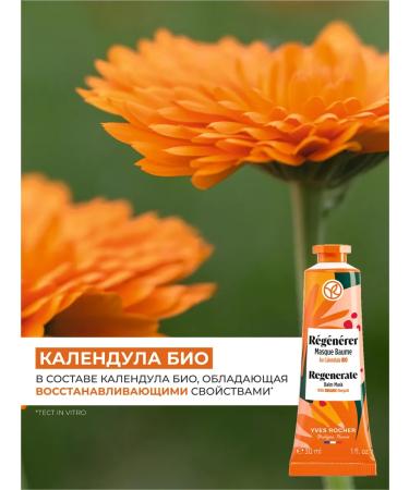 Yves Rocher Restoring mask with calendula bio - Buy Online on GoSupps.com