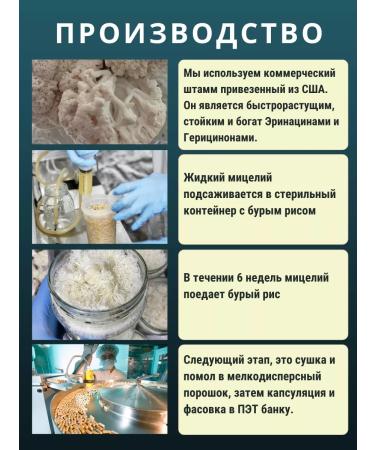 Altai ECO Ezhovik Channel Mycelium Capsules 90 pcs 400 mg - Buy Online on GoSupps.com